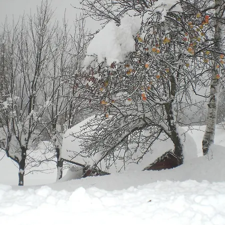 Fraina * Cortina dʼAmpezzo